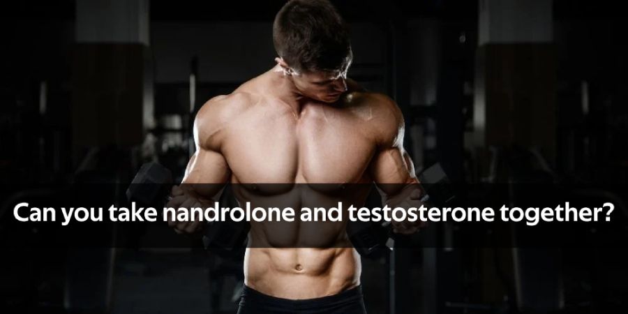 low dose nandrolone with trt